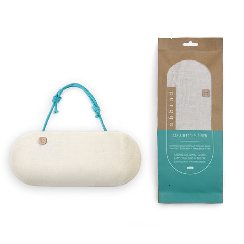 car odor eliminator
