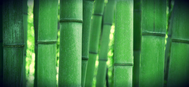 5 Super Powers of Bamboo Charcoal You Need to Know