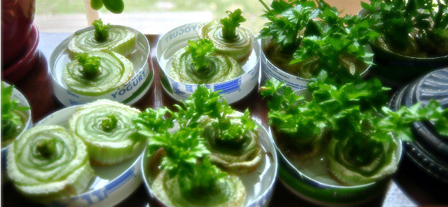 14 Tips to Reduce Kitchen Waste